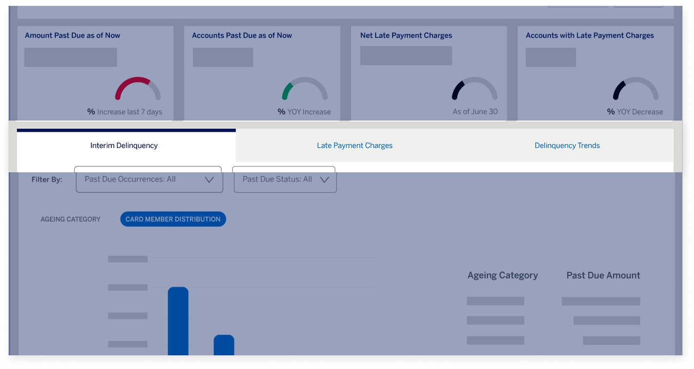 delinquency-dashboard-screen11