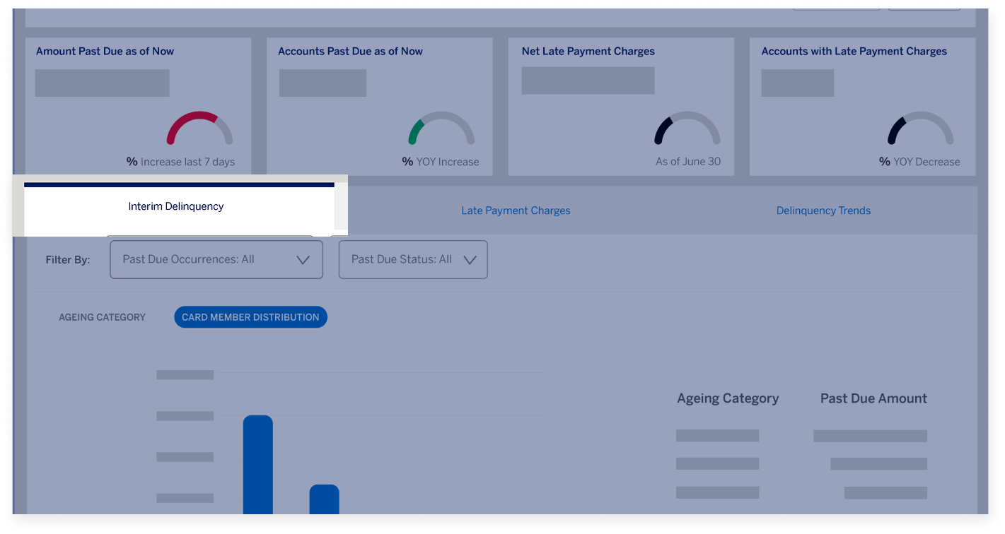 delinquency-dashboard-screen12
