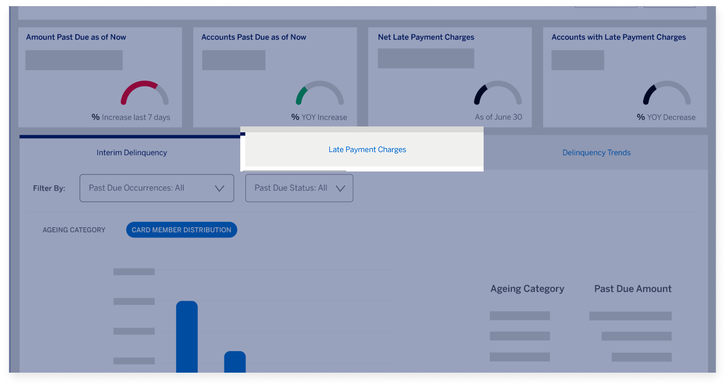 delinquency-dashboard-screen13