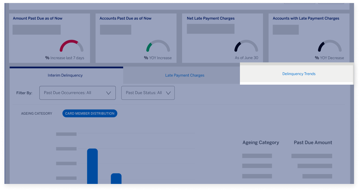 delinquency-dashboard-screen14