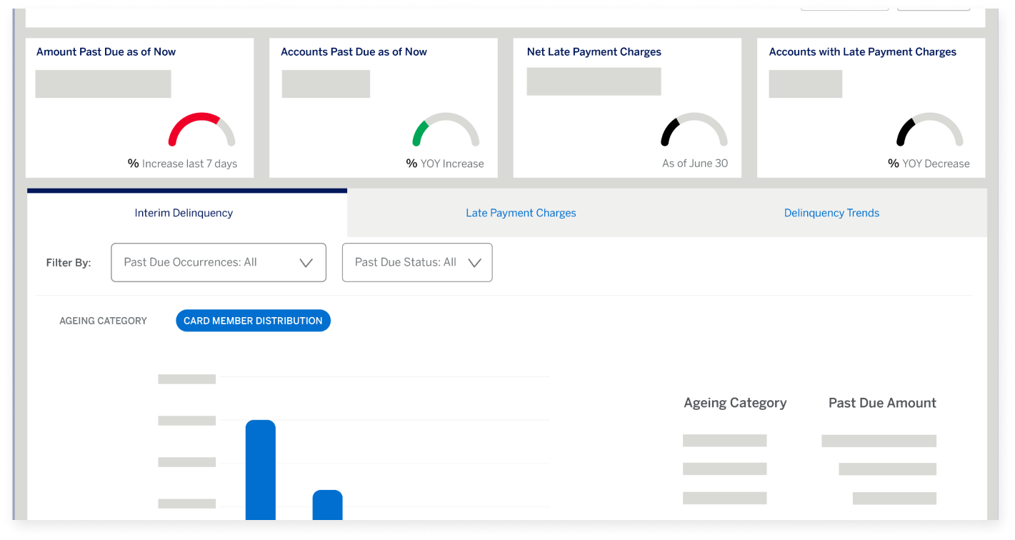 delinquency-dashboard-screen15
