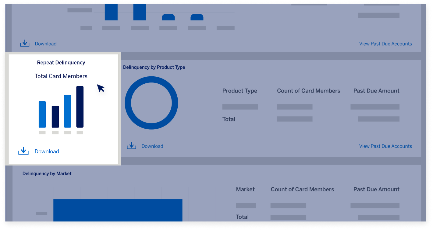 delinquency-dashboard-screen17