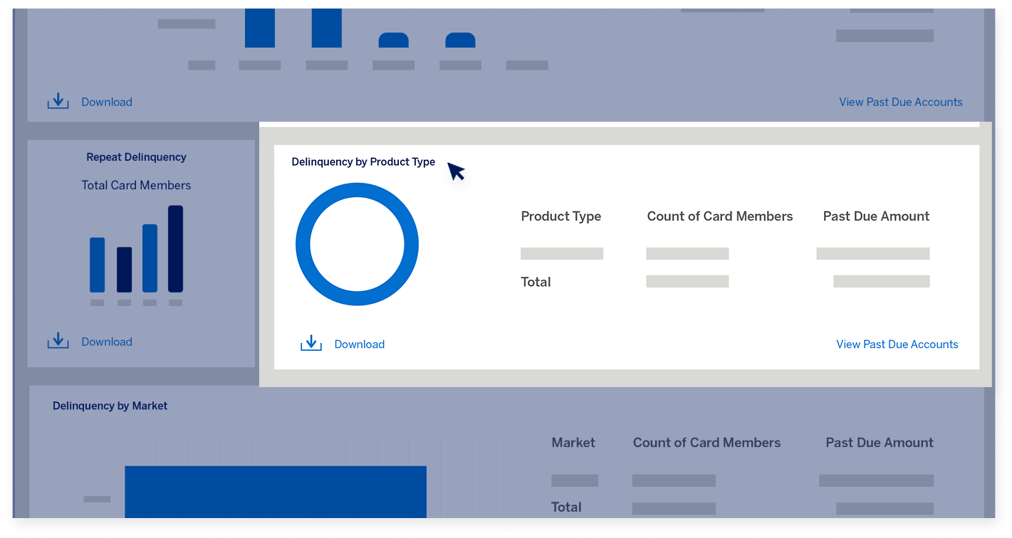 delinquency-dashboard-screen18