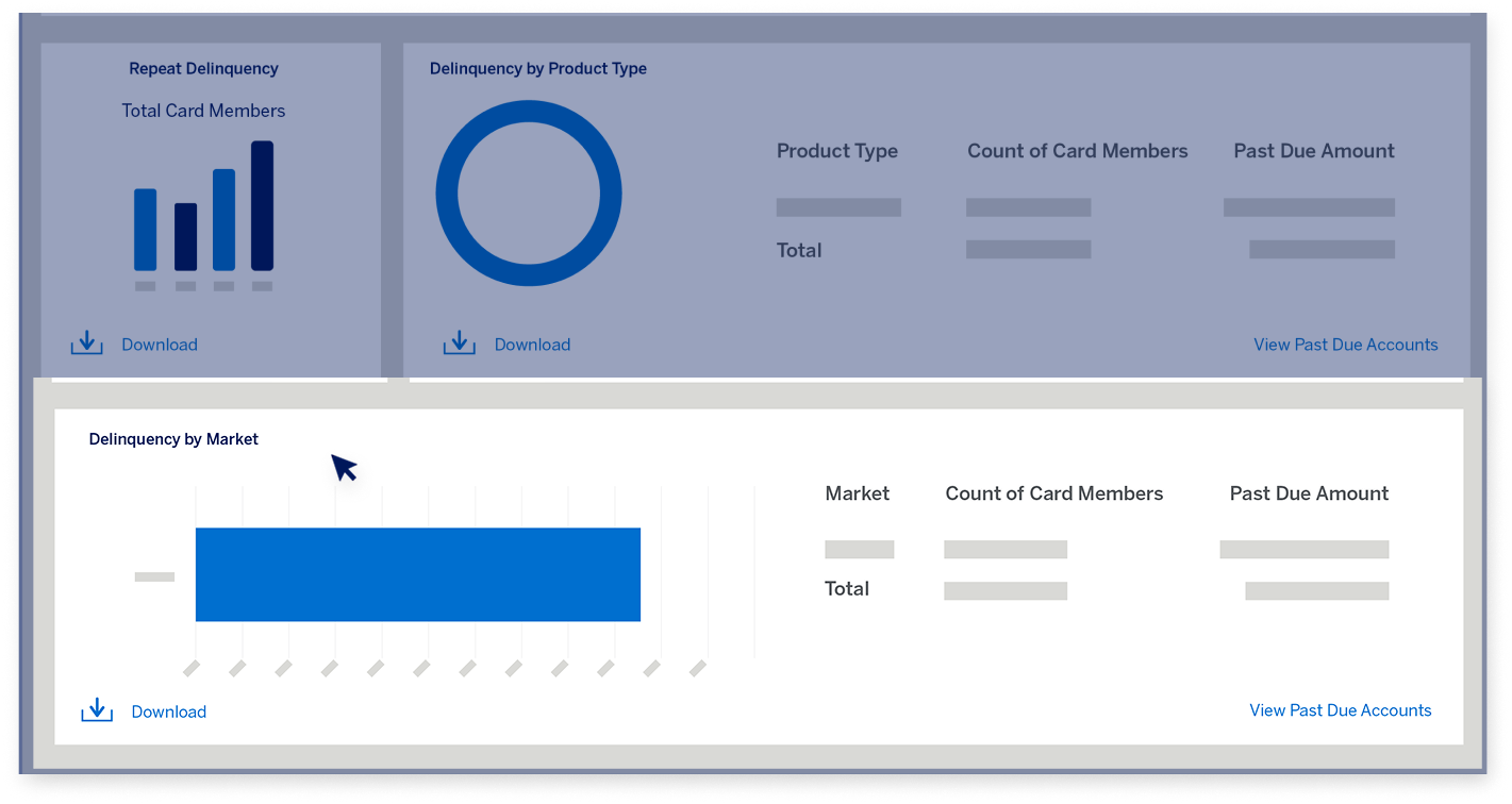 delinquency-dashboard-screen19