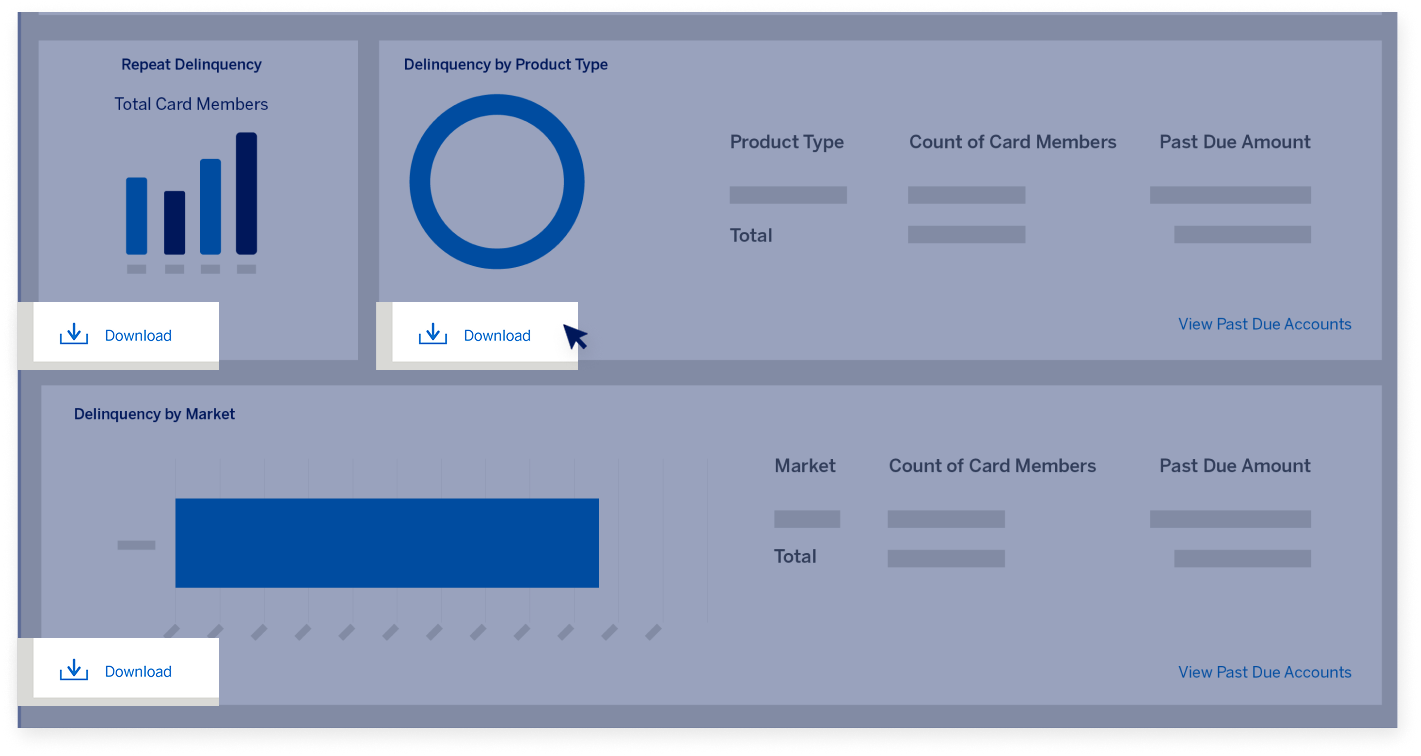 delinquency-dashboard-screen20