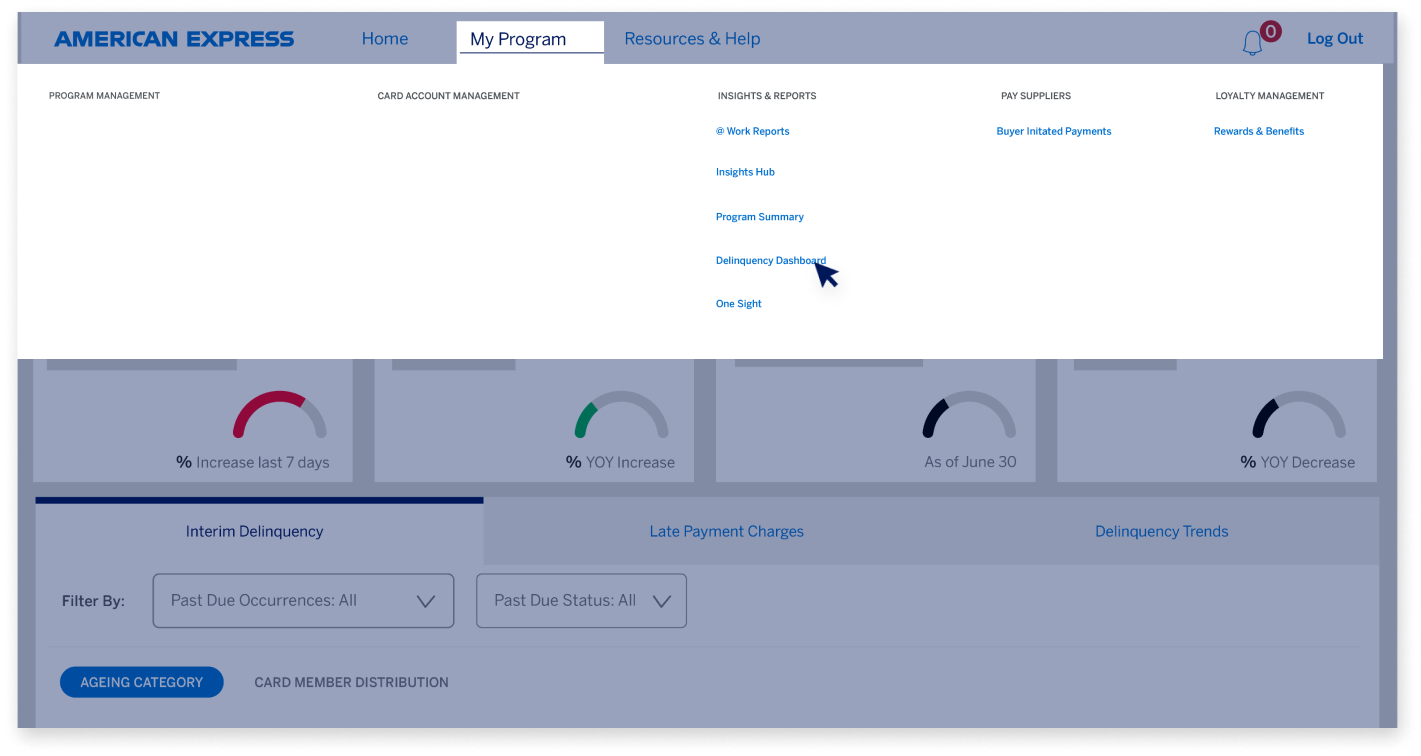 delinquency-dashboard-screen3