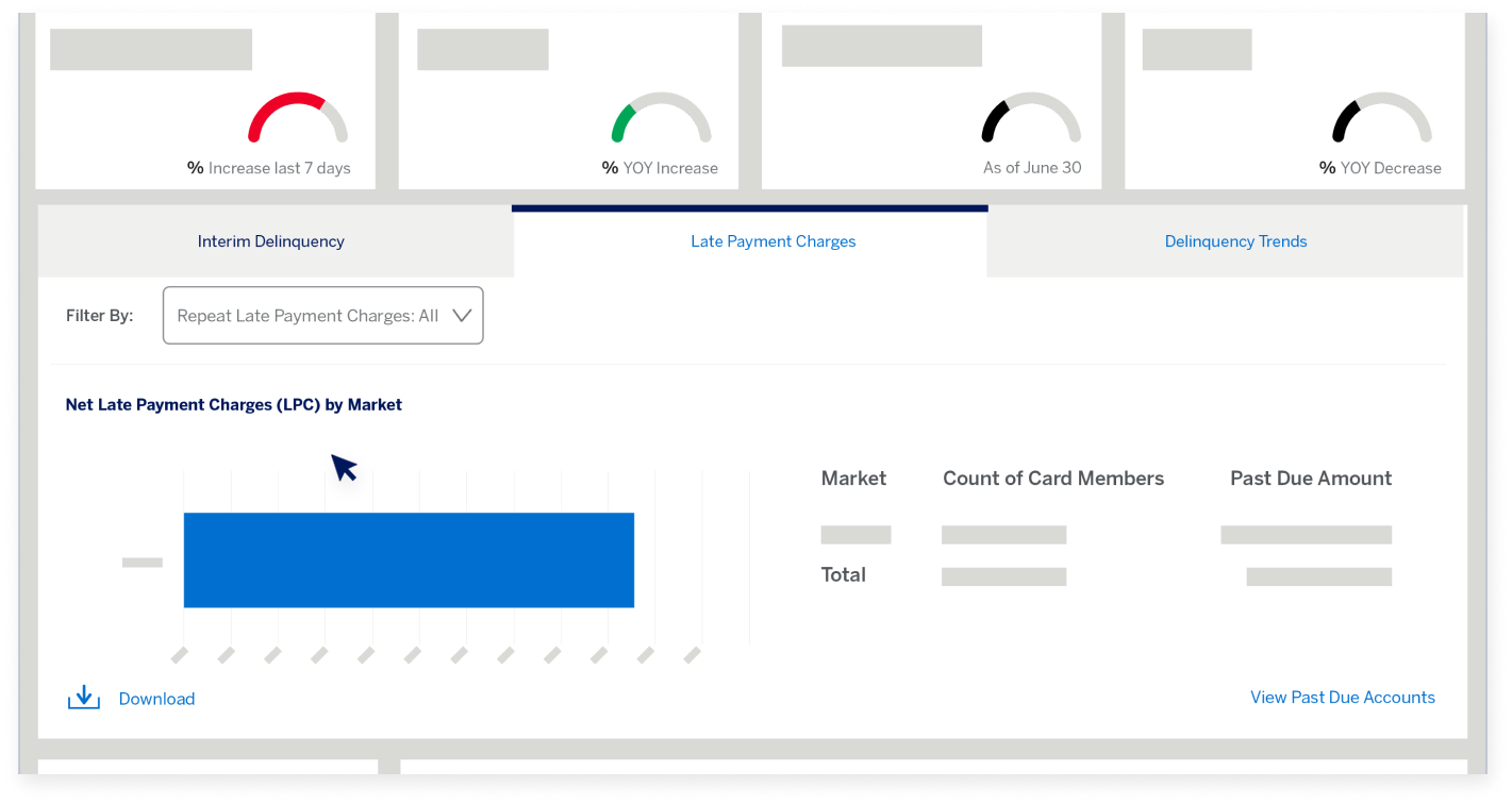 delinquency-dashboard-screen21