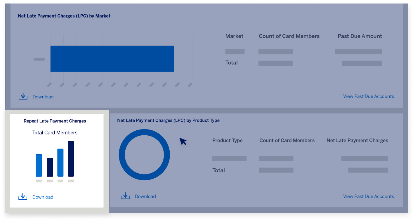delinquency-dashboard-screen22