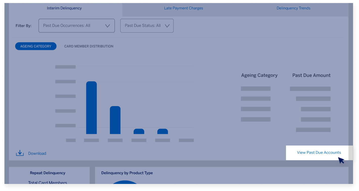 delinquency-dashboard-screen25