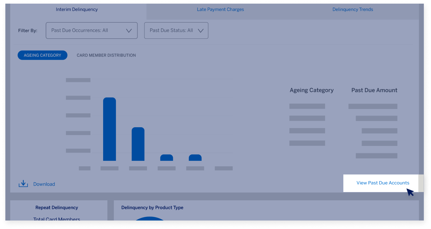 delinquency-dashboard-screen26