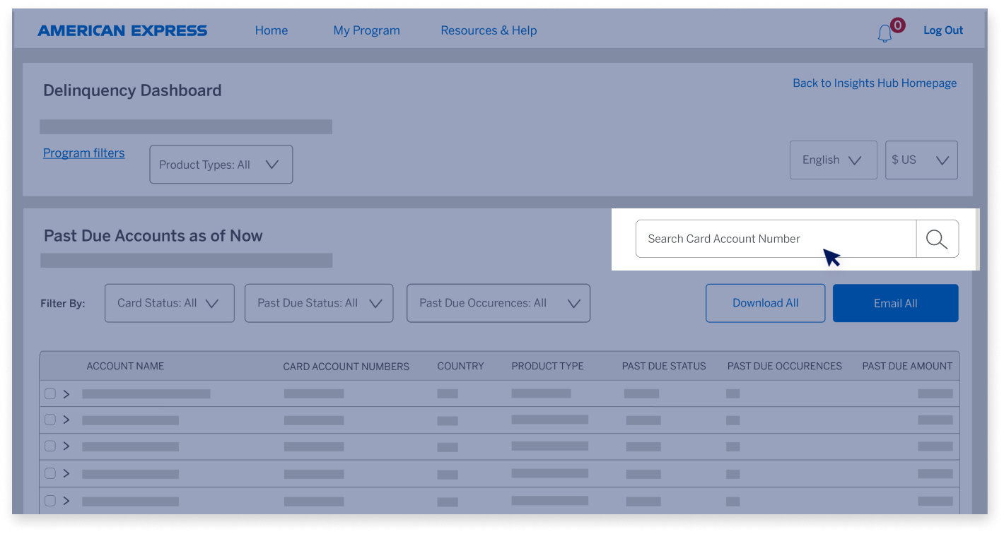 delinquency-dashboard-screen29