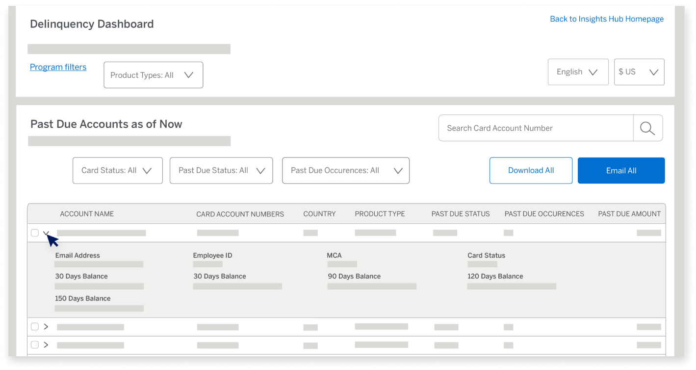 delinquency-dashboard-screen30