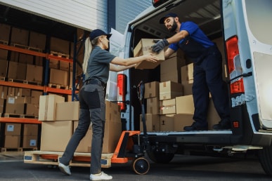 Categoría Servicios