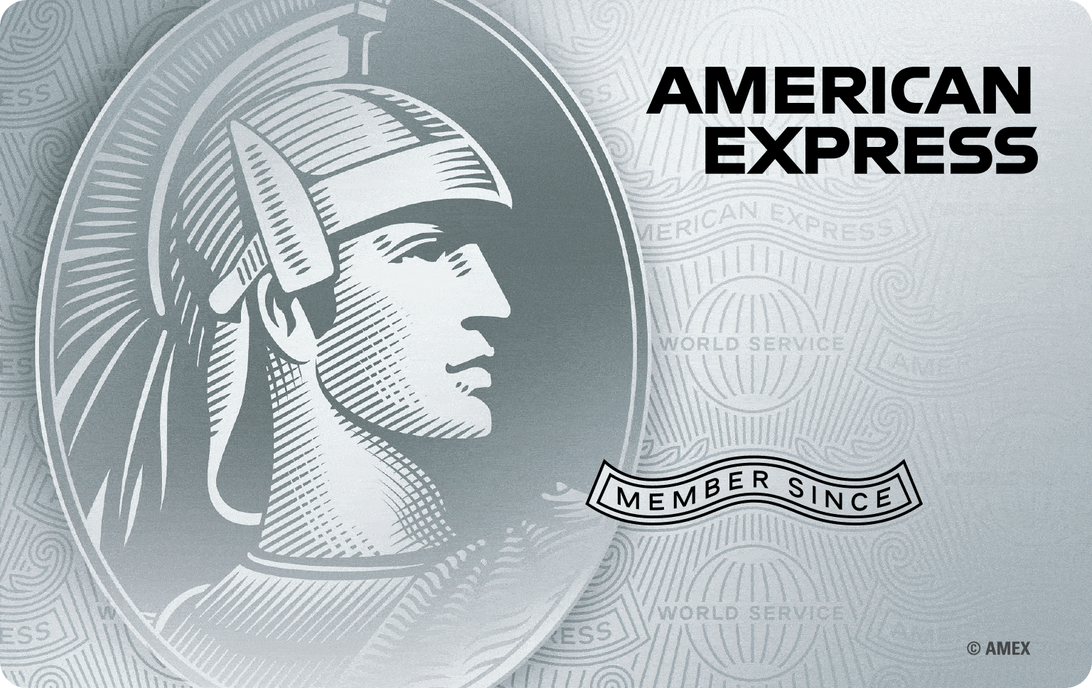 The Platinum Credit Card American Express®