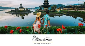 El Palacio de Hierro Home