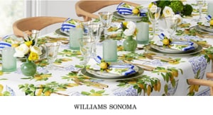 Williams Sonoma Negocio Home