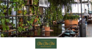 Terraza Cha Cha Chá Home