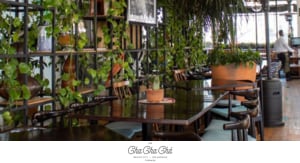 Terraza Cha Cha Chá Home