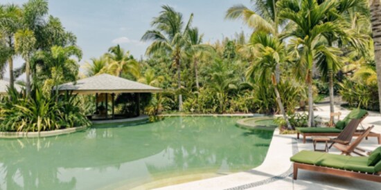 Soul Spring Sanctuary Dedicated