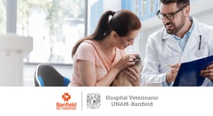 Hospital Veterinario UNAM-Banfield Home