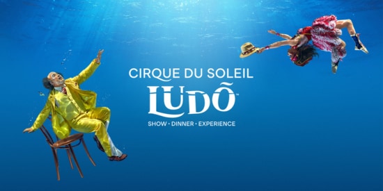 CIRQUE DU SOLEIL LUDÕ Dedicated