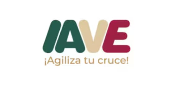 IAVE Logo