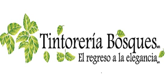 Tintorería Bosques Logo