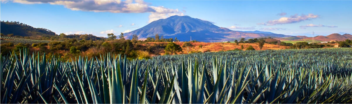 foto panoramica jalisco