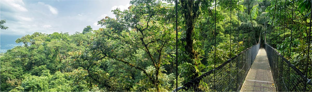 banner hombre pescando