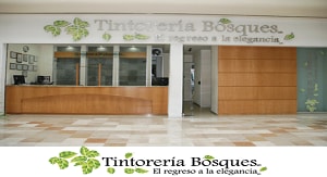 Tintorería Bosques Home