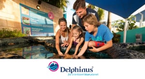 Delphinus Home