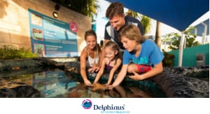 Delphinus Home