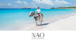 NAO TRAVEL COLLECTION Home