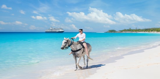 NAO TRAVEL COLLECTION Dedicated