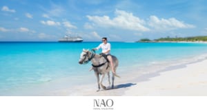 NAO TRAVEL COLLECTION Home