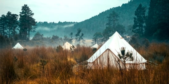 BASECAMP Negocios Dedicated Page