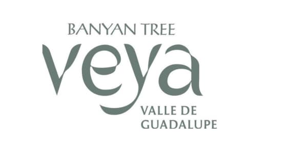 Banyan Tree Veya Valle de Guadalupe Logo