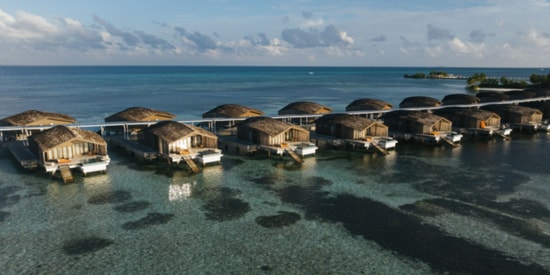 Club Med Dedicated Page