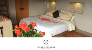 Las Luciérnagas Home