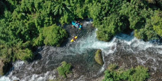 Picocanoa Negocios  Dedicated Page