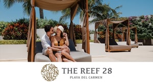 The Reef 28 Home