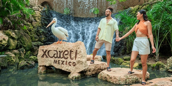 Grupo Xcaret Dedicated Page