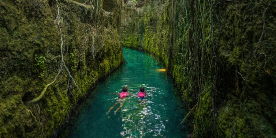 Grupo Xcaret Dedicated Page