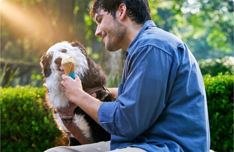 The Gold Card American Express: Imagen de American Express relacionada con Home.