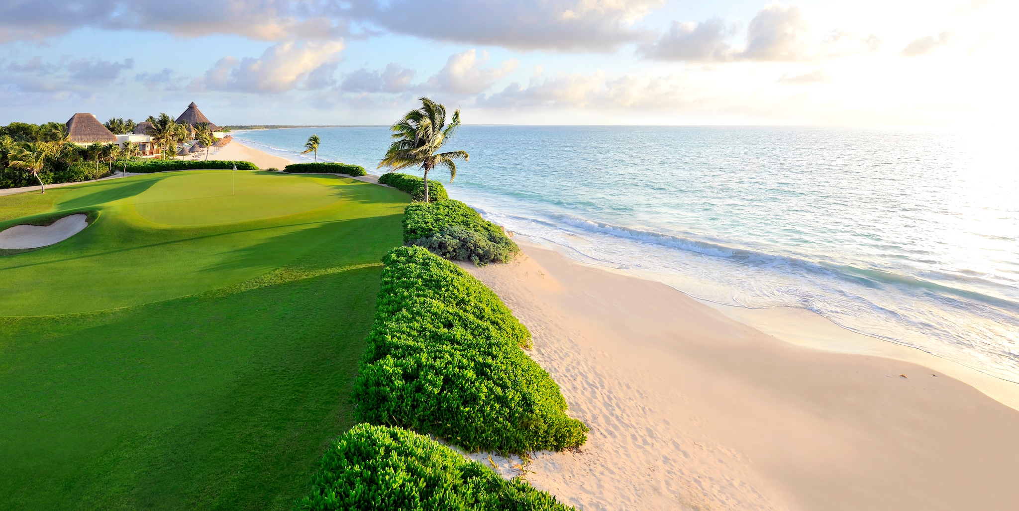 EL CAMALEÓN MAYAKOBA ¹⁹