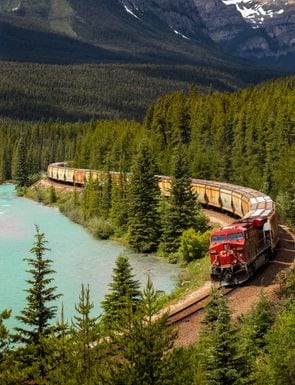 Protección y Reemplazo de la Tarjeta