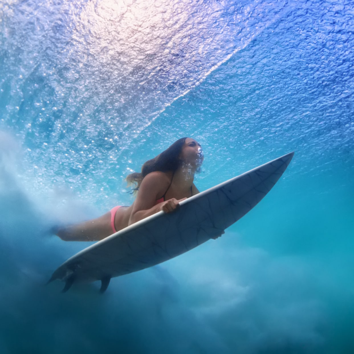 Imagen de Fast Track Fast Lane