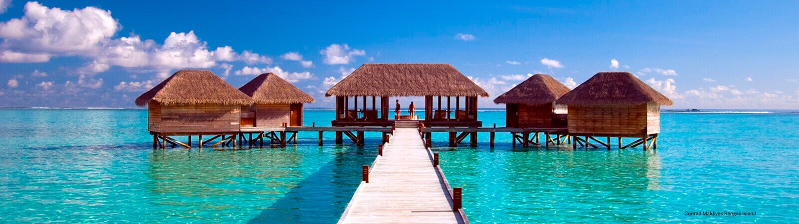 Imagen de Hilton Honors Elite Gold Status