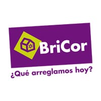 Logo de Bricor