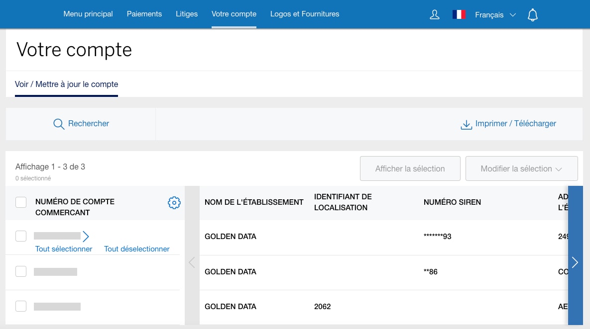 Screenshot of the View/Update tab under Account Services